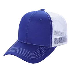 Royal/White
